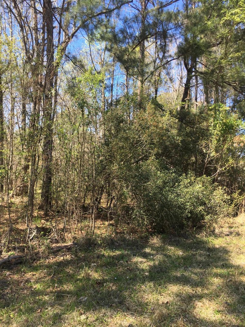 00 Arnold Dr, Ridgeville, SC 29472