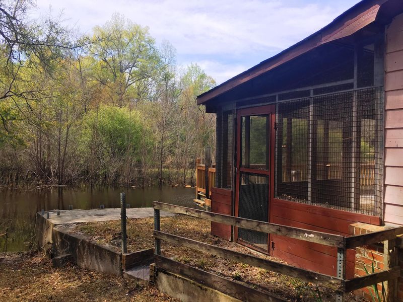 222 Cat Hole Ln, Branchville, SC 29432