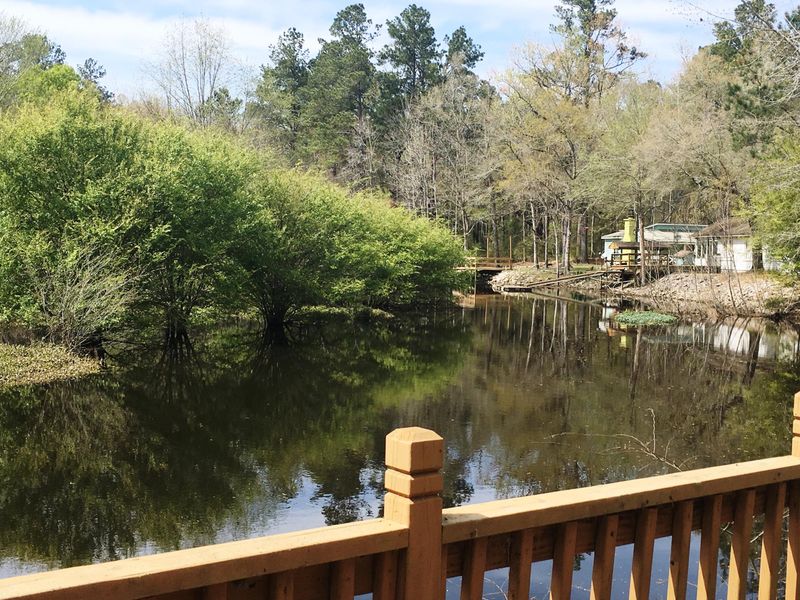 222 Cat Hole Ln, Branchville, SC 29432