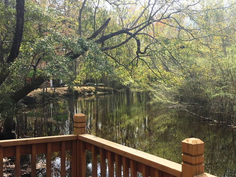 222 Cat Hole Ln, Branchville, SC 29432