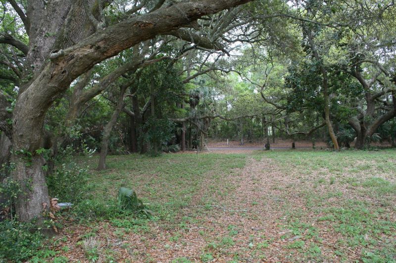 2 Woody Ln, Folly Beach, SC 29439