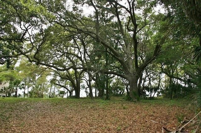 2 Woody Ln, Folly Beach, SC 29439