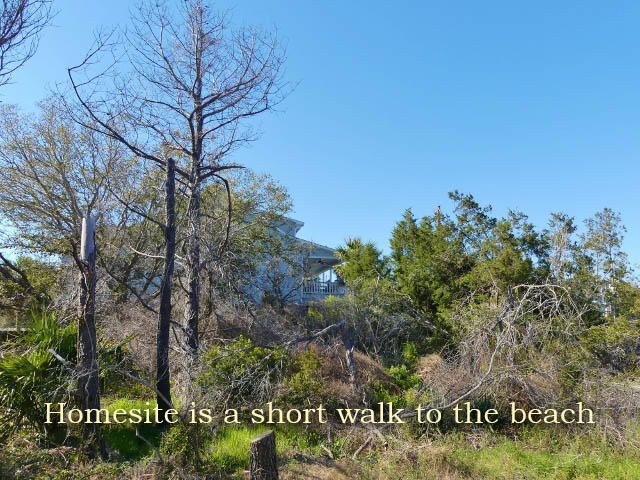 206 Whaley St, Edisto Island, SC 29438
