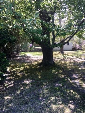 376 Betsy Rd, Charleston, SC 29407