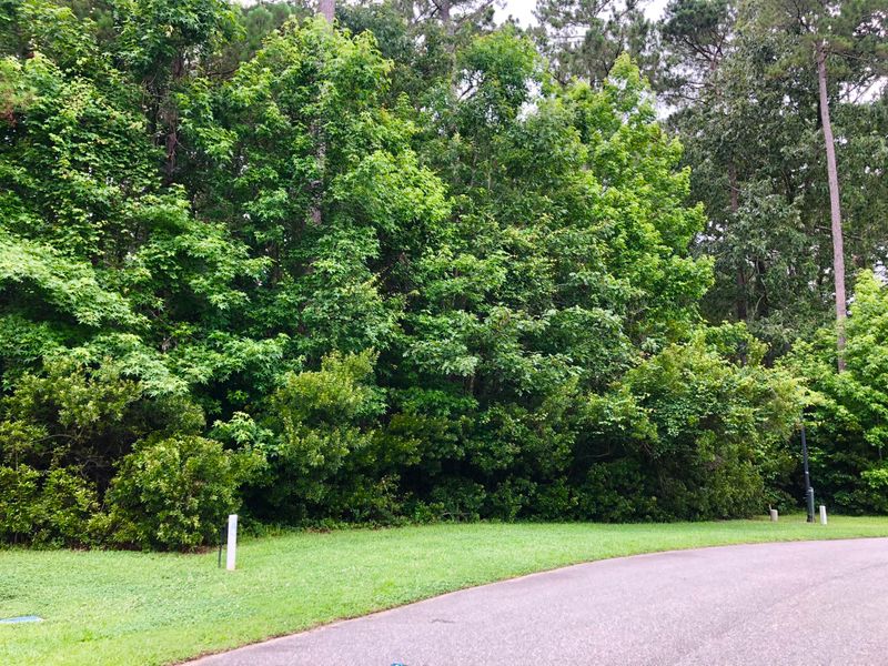 Lot 54 Ten Shillings Way, Hollywood, SC 29470