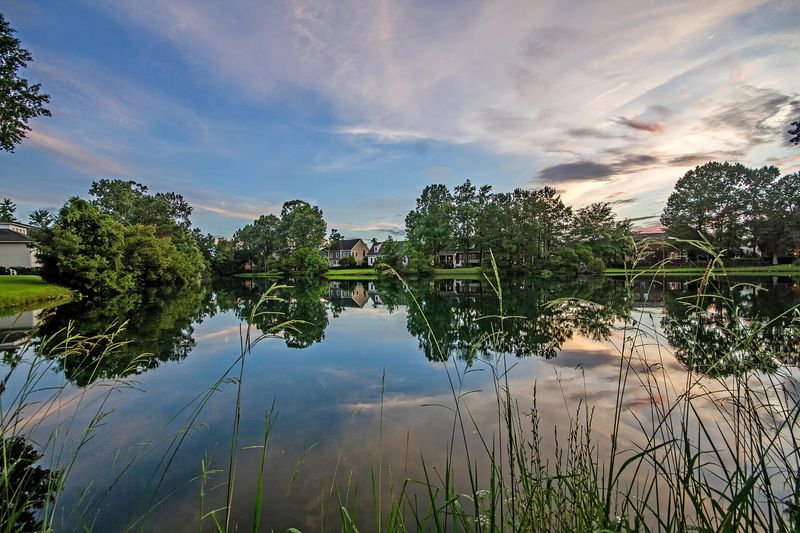 1737 James Basford Pl, Mount Pleasant, SC 29466
