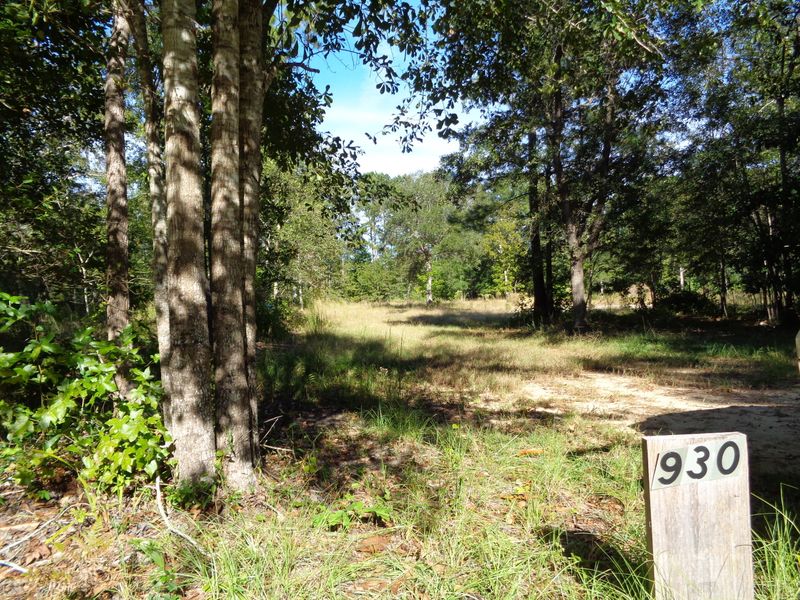 930 Awendaw Lakes Blvd, Awendaw, SC 29429