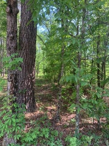 0 Vondross, Moncks Corner, SC 29461