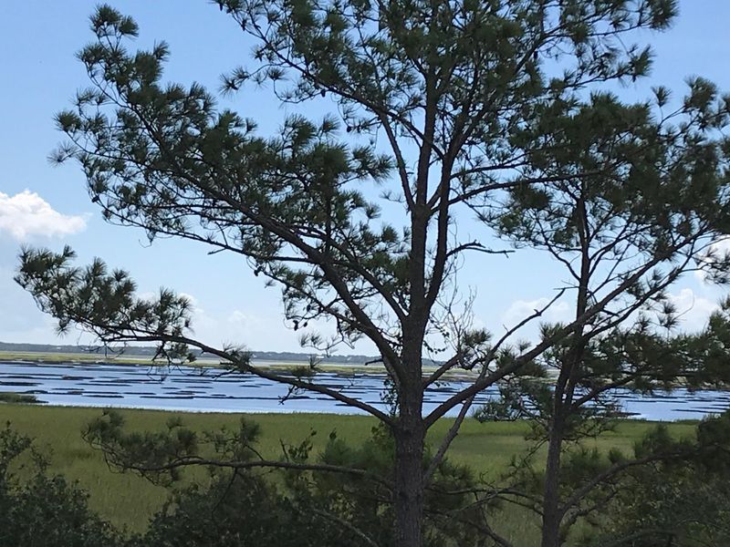 3628 Tidal Flat Cir, Mount Pleasant, SC 29466