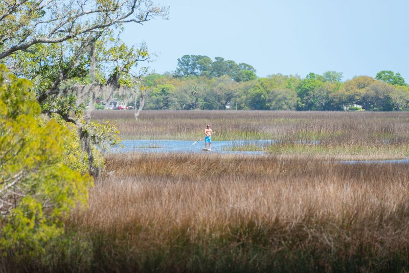 828 Mary River Ln, Charleston, SC 29412