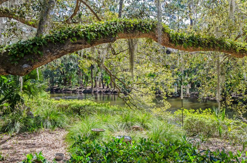25 Marsh Edge Ln, Kiawah Island, SC 29455