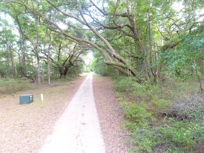 7 Marsh Bluff Ct, Edisto Island, SC 29438