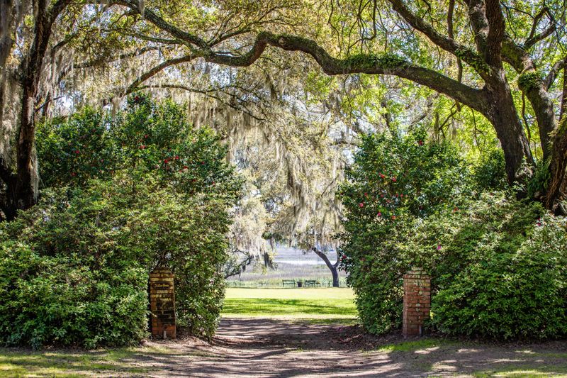 6196 Rockefeller Rd, Wadmalaw Island, SC 29487