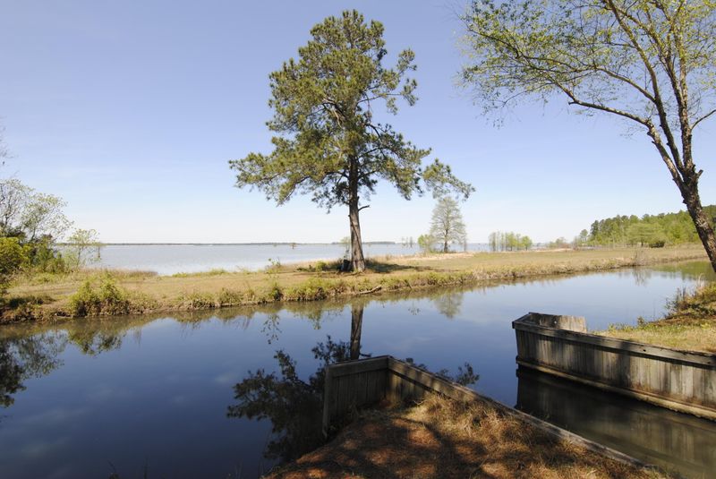 203 Land O Pines Cir, Moncks Corner, SC 29461