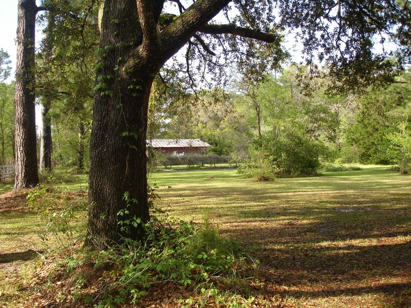 5618 Hwy 162, Hollywood, SC 29449