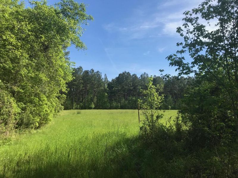 0 Savannah Farm Ln, Jamestown, SC 29453