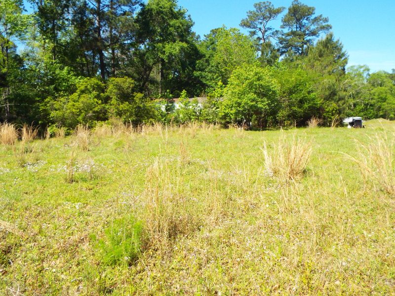 930 Hunt Dr, Huger, SC 29450