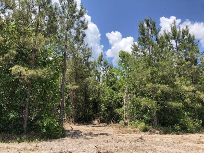 0 Whitehouse Rd, Summerville, SC 29486