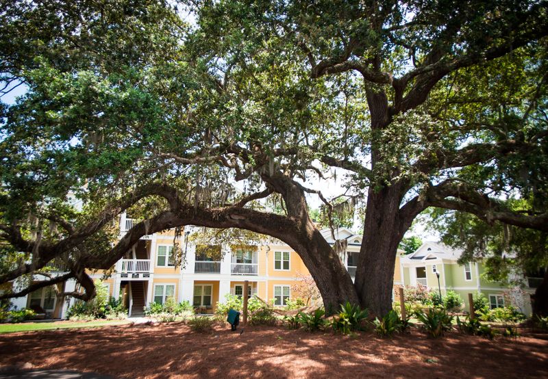 2116 Chatelain Way #2116, Mount Pleasant, SC 29464