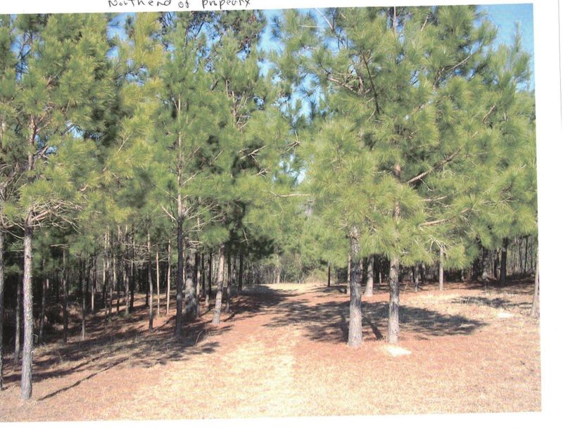 212 Spring Dell Way, Saint Stephen, SC 29479
