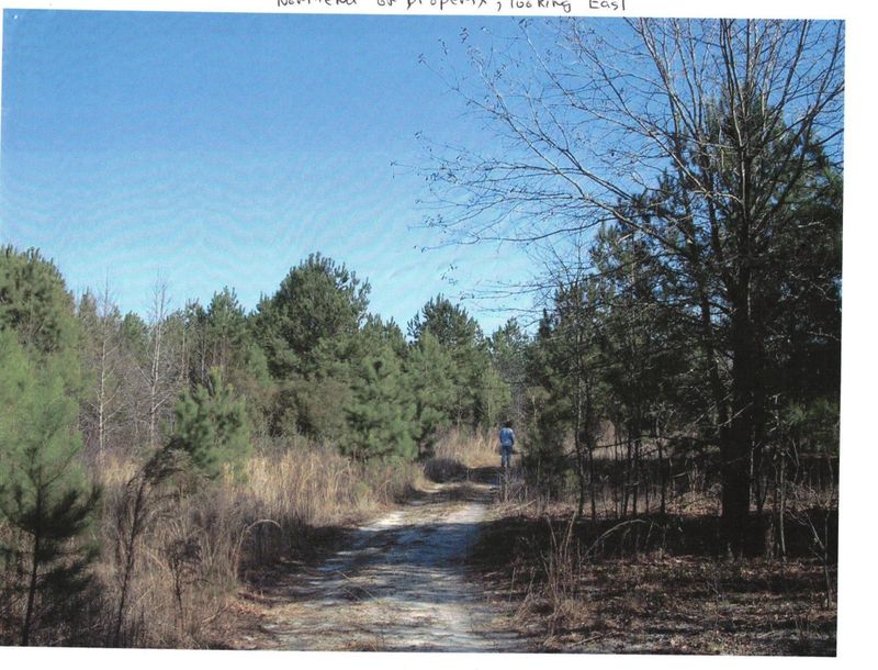 212 Spring Dell Way, Saint Stephen, SC 29479
