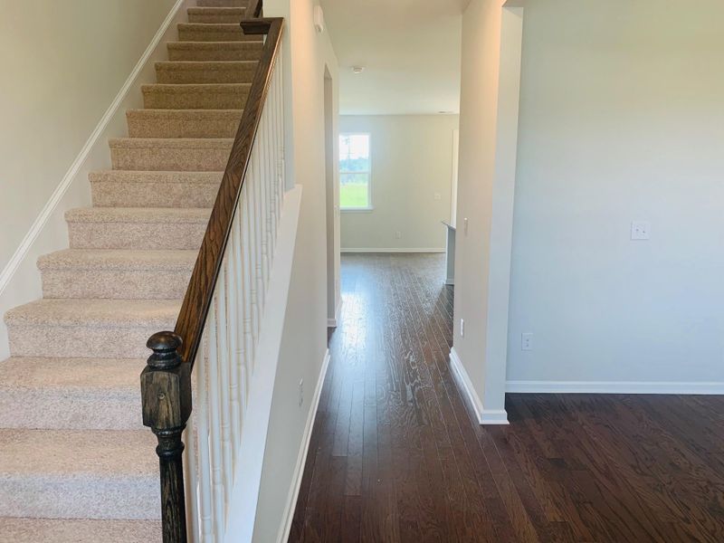 205 Rhodes Ct, Summerville, SC 29486