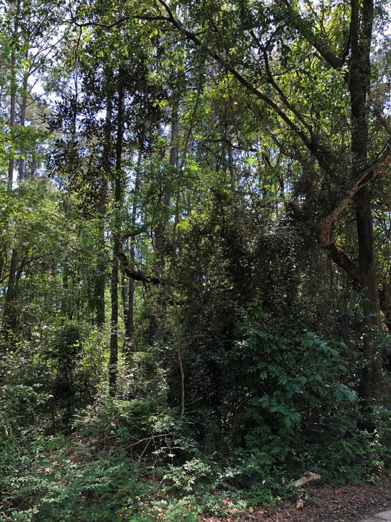 929 Simmons Ave, Summerville, SC 29483