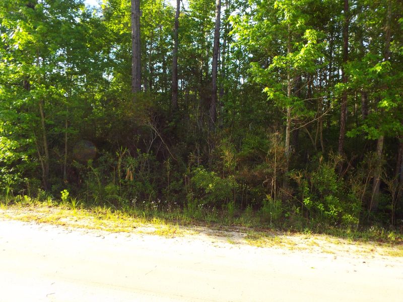 0 Elliott Estates Rd, Hollywood, SC 29449