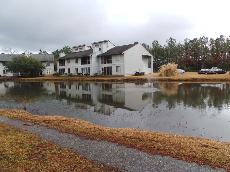 308 Greenmeadow Dr, Goose Creek, SC 29445
