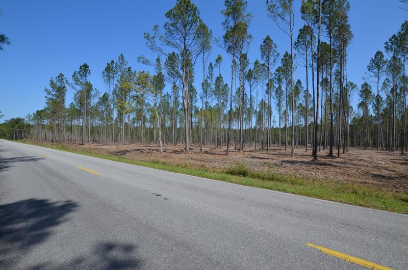 0 Bethera Rd Lot F, Bonneau, SC 29431