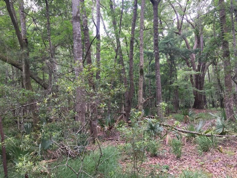0 Glover Rd, Johns Island, SC 29455
