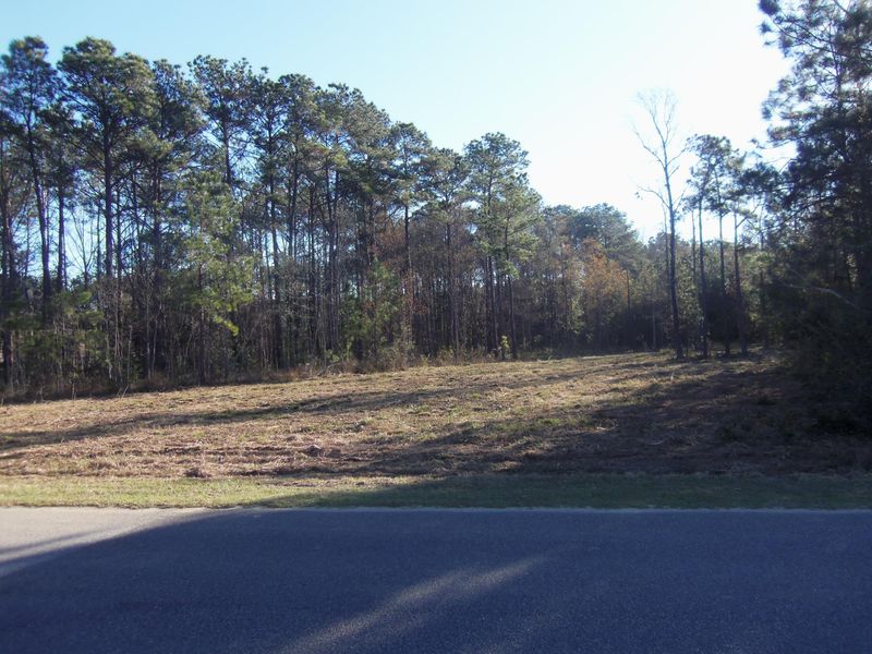 0 Victoria Rd, Wando, SC 29492