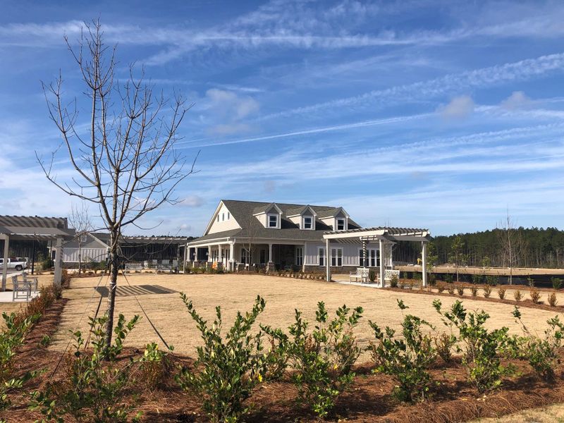 387 Dunlin Dr #43, Summerville, SC 29486