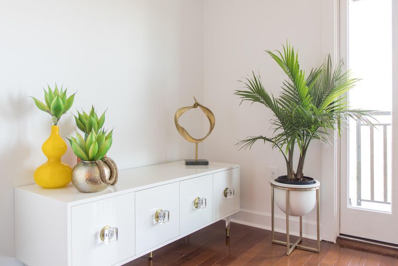 33 Calhoun St #246, Charleston, SC 29401