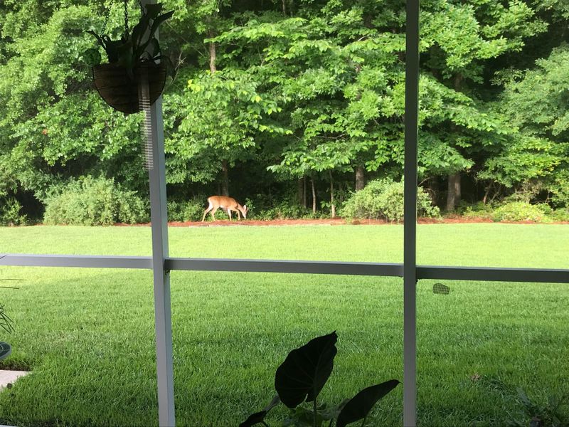 255 Border Rd, Goose Creek, SC 29445