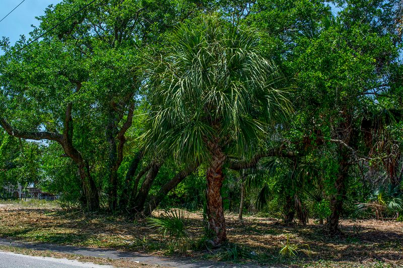 3102 Myrtle St, Edisto Beach, SC 29438