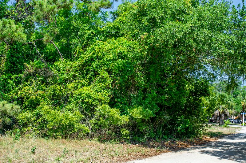 2308 Seabrook St, Edisto Beach, SC 29438