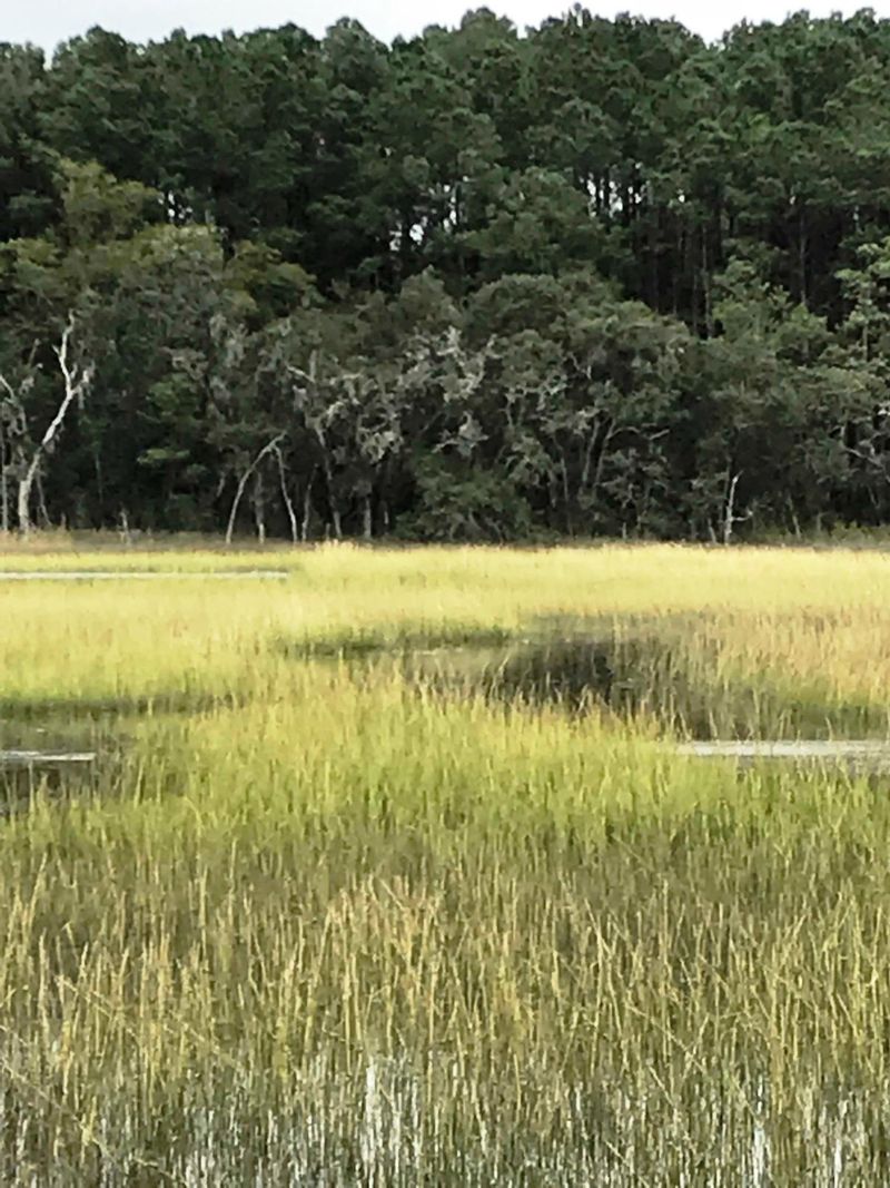 00 Old Pond Rd, Johns Island, SC 29455