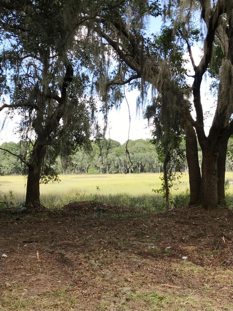 00 Old Pond Rd, Johns Island, SC 29455