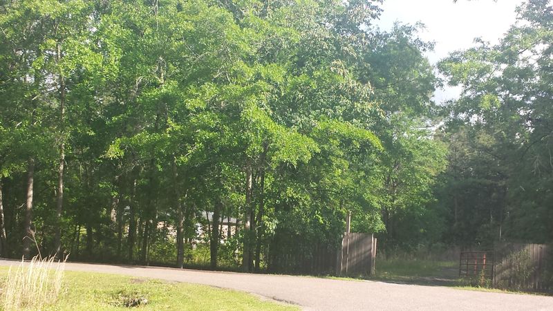 180 Big Creek Dr, Moncks Corner, SC 29461