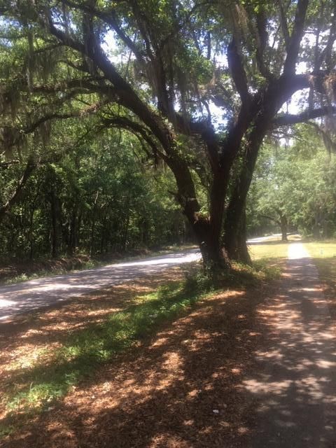 1538 Hamlin Rd, Mount Pleasant, SC 29466