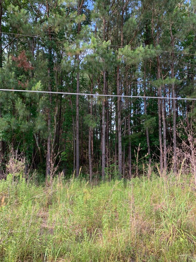 1076 Unity Rd, Saint Stephen, SC 29479