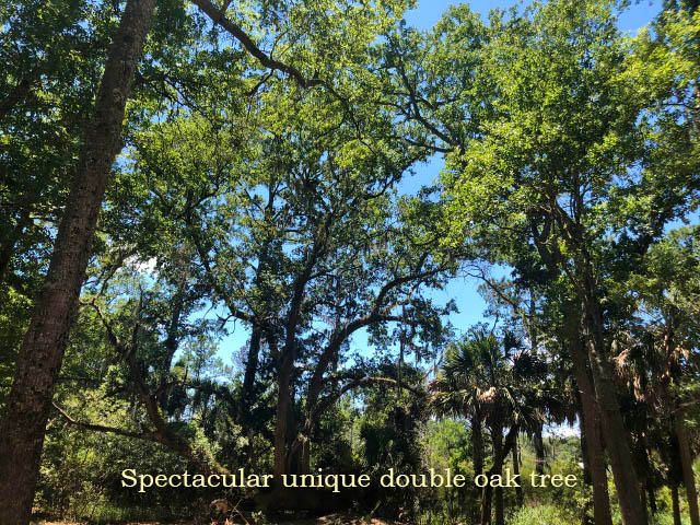 1cb Cotton Bay Ct, Edisto Island, SC 29438