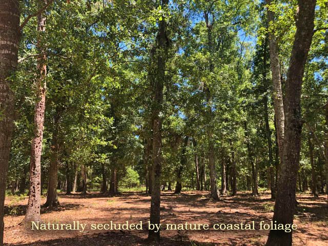 1cb Cotton Bay Ct, Edisto Island, SC 29438