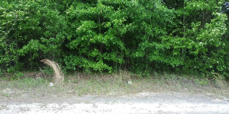 0 Eldorado Rd, Cross, SC 29436
