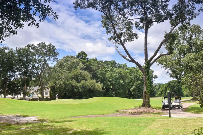 17 Hunters Forest Dr, Charleston, SC 29414