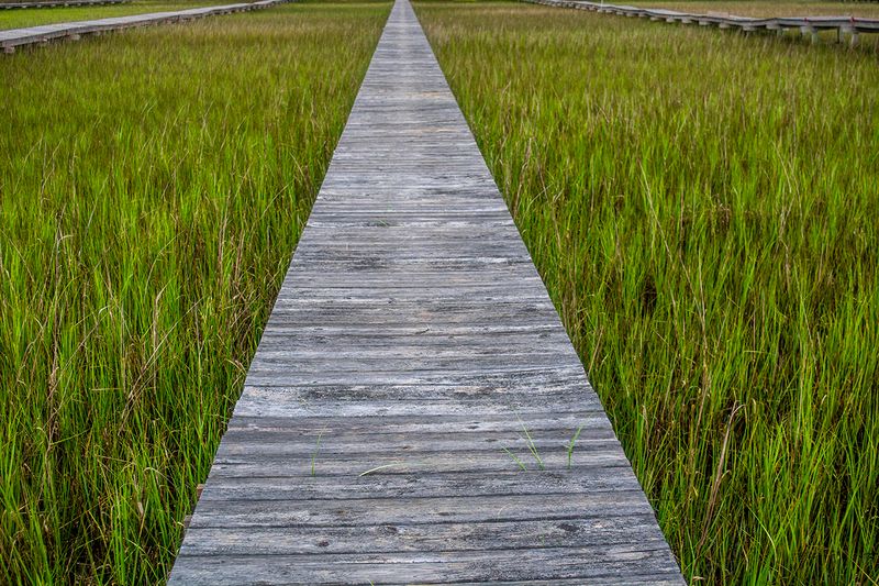 8779 Palmetto Rd #H Dock, Edisto Island, SC 29438