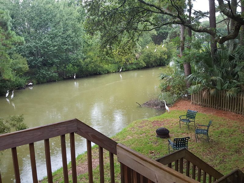 1486 Greenshade Way, Mount Pleasant, SC 29464