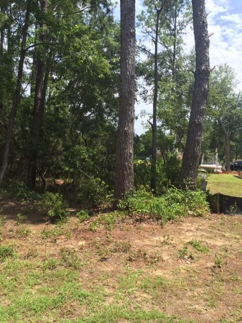 2140 Mcneil Washington Rd, Charleston, SC 29412