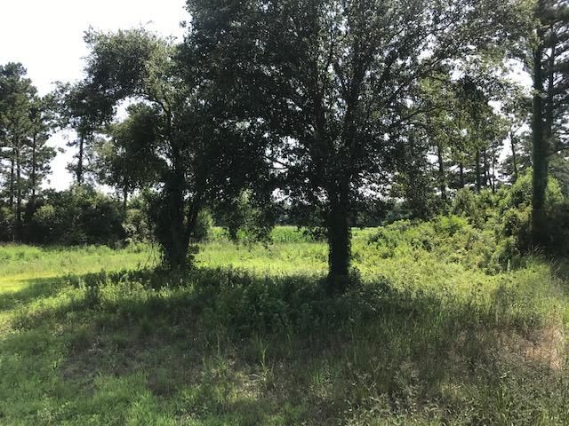 3 Addie Seabrook Ln, Edisto Island, SC 29438